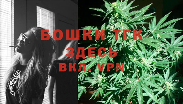 молекула духа Михайловка