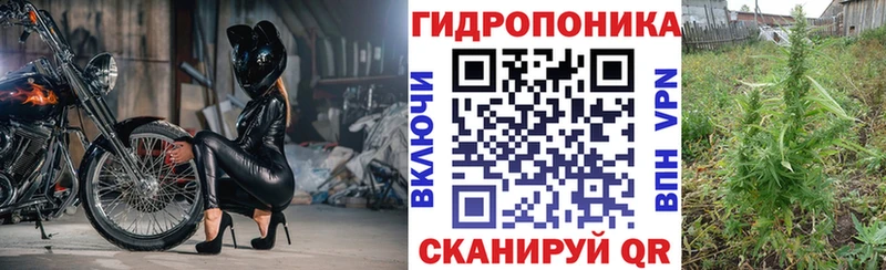 Шишки марихуана Ganja  купить наркотик  ОМГ ОМГ ТОР  Холмск 